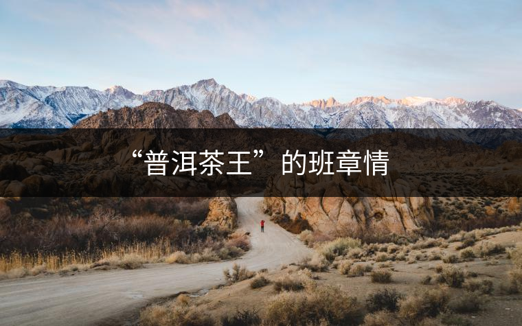 “普洱茶王”的班章情 “普洱茶王”的班章情