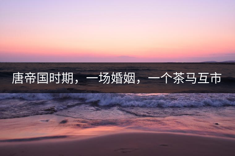 唐帝國時期,一場婚姻,一個茶馬互市,讓這里結(jié)束了漢藏對峙。宋代南茶北,西北茶馬司設(shè)立,因茶而改變的生活日益凸顯。元代八思巴與忽必烈在這一區(qū)域結(jié)盟,為蒙藏兩大民族交往鋪好通衢大道,明代俺答汗與達(dá)賴在山海之間追思各自先人,青海人宗喀巴創(chuàng)建的黃教通過蒙、藏兩大領(lǐng)袖的推廣,締造了影響至今的格局。大清經(jīng)過康、雍、乾三代勵精圖治,滿、藏、蒙各自龐大的疆域第一次完整地統(tǒng)轄在中央帝國的版圖下。 唐帝國時期,一場婚姻,一個茶馬互市,讓這里結(jié)束了漢藏對峙。宋代南茶北,西北茶馬司設(shè)立,因茶而改變的生活日益凸顯。元代八思巴與忽必烈在這一區(qū)域結(jié)盟,為蒙藏兩大民族交往鋪好通衢大道,明代俺答汗與達(dá)賴在山海之間追思各自先人,青海人宗喀巴創(chuàng)建的黃教通過蒙、藏兩大領(lǐng)袖的推廣,締造了影響至今的格局。大清經(jīng)過康、雍、乾三代勵精圖治,滿、藏、蒙各自龐大的疆域第一次完整地統(tǒng)轄在中央帝國的版圖下。