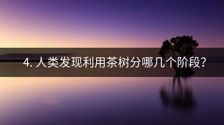 ? 4. 人類發現利用茶樹分哪幾個階段? ? 4. 人類發現利用茶樹分哪幾個階段?