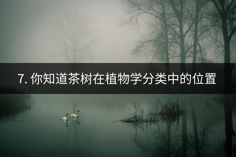 ??7. 你知道茶樹在植物學分類中的位置嗎? ??7. 你知道茶樹在植物學分類中的位置嗎?