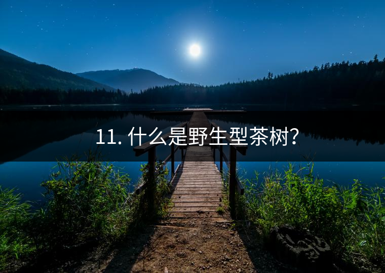 ? 11. 什么是野生型茶樹? ? 11. 什么是野生型茶樹?