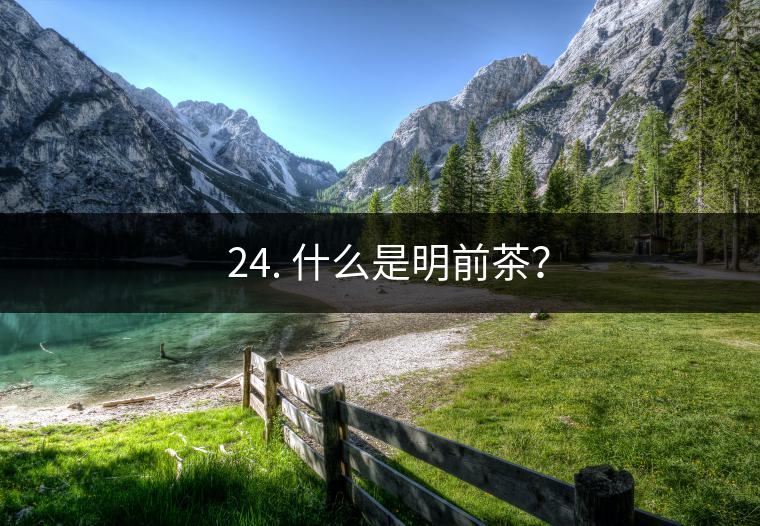 ? 24. 什么是明前茶? ? 24. 什么是明前茶?