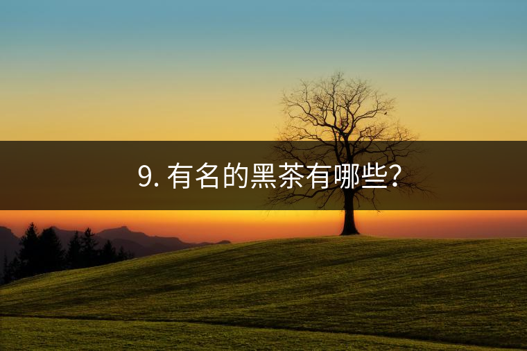 ? 9. 有名的黑茶有哪些? ? 9. 有名的黑茶有哪些?