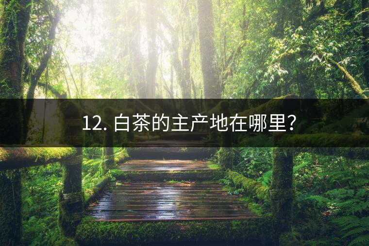 ? 12. 白茶的主產地在哪里? ? 12. 白茶的主產地在哪里?