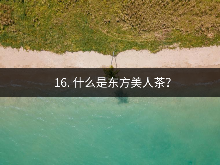 ? 16. 什么是東方美人茶? ? 16. 什么是東方美人茶?