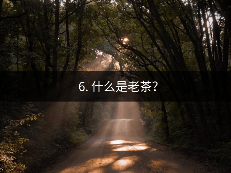 ? 6. 什么是老茶? ? 6. 什么是老茶?