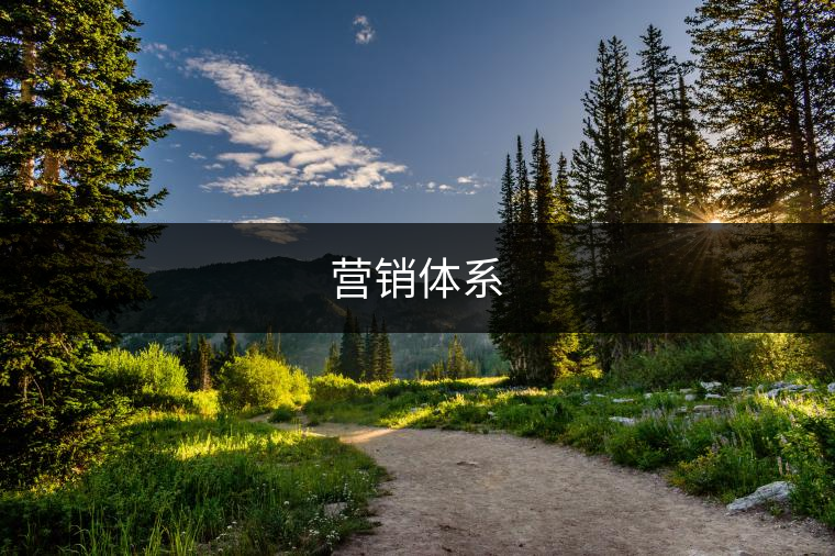營銷體系 營銷體系