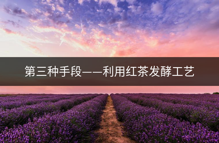 第三種手段——利用紅茶發酵工藝
