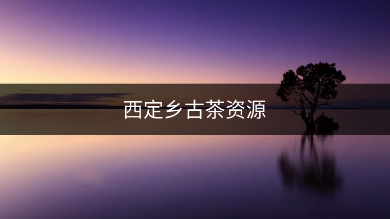 西定鄉古茶資源 西定鄉古茶資源