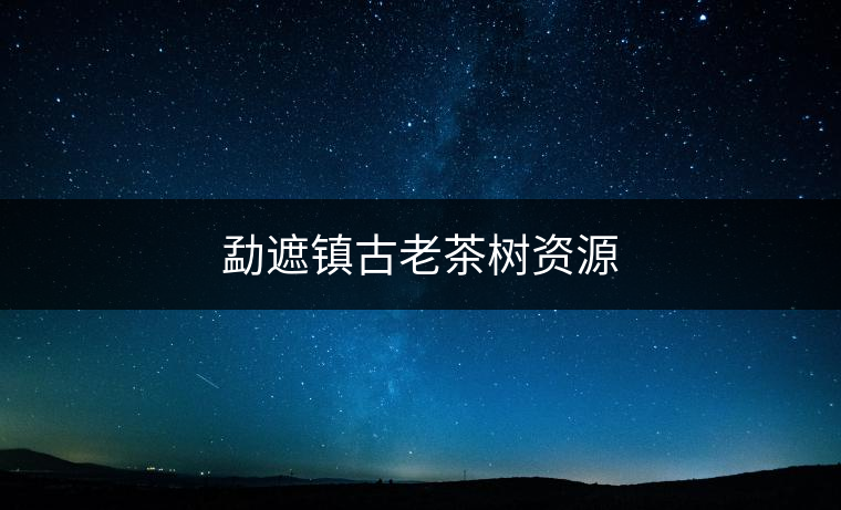 勐遮鎮古老茶樹資源
