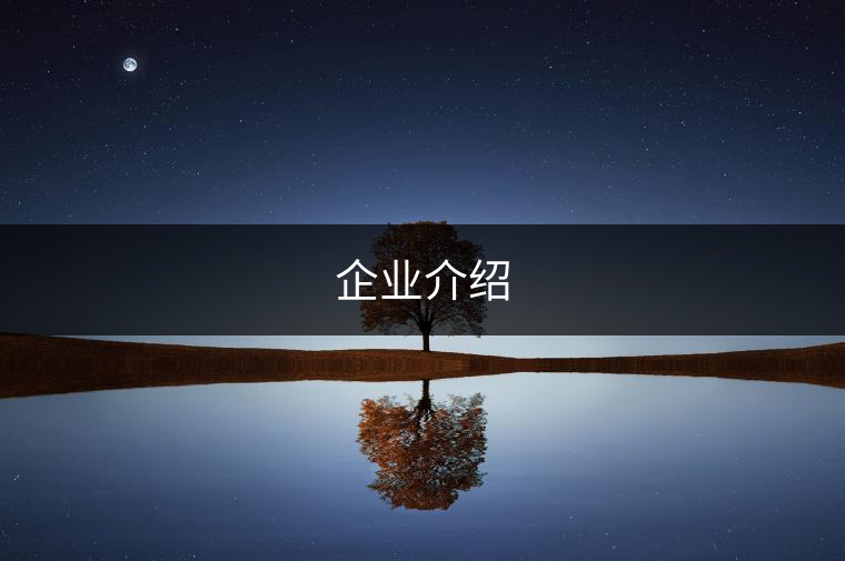 企業(yè)介紹 企業(yè)介紹