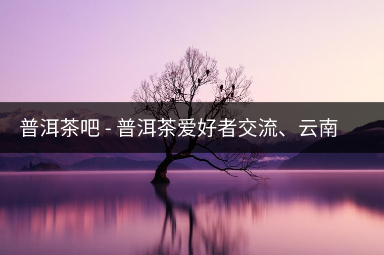 普洱茶吧?– 普洱茶愛好者交流、云南普洱茶網站