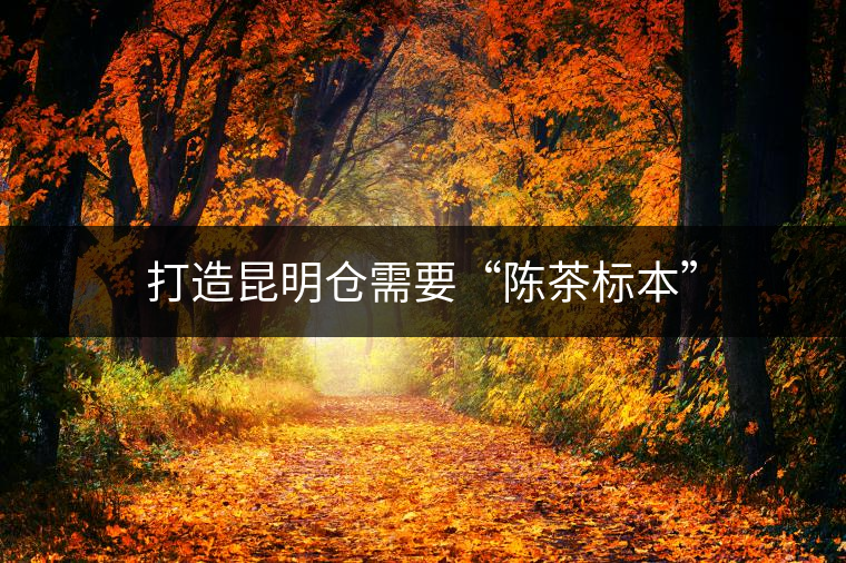 打造昆明倉需要“陳茶標(biāo)本” 打造昆明倉需要“陳茶標(biāo)本”