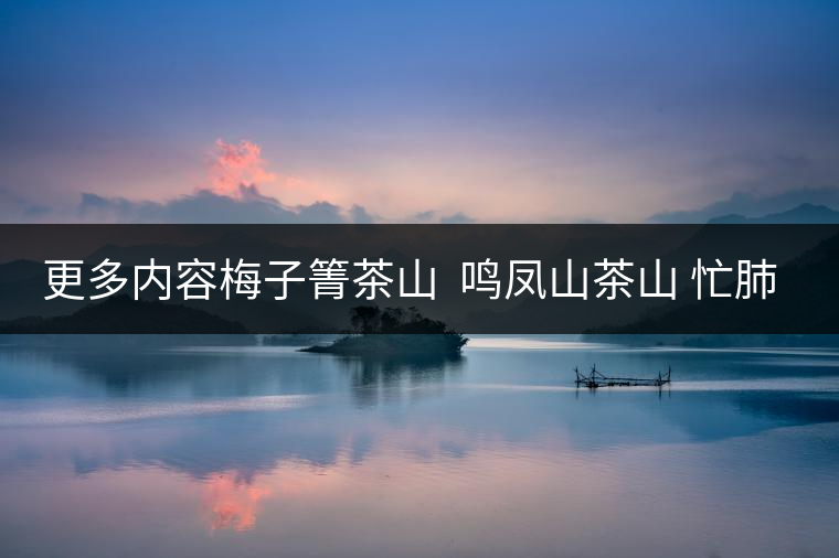 更多內容梅子箐茶山 ?鳴鳳山茶山 忙肺茶山?請訪問普洱茶吧網