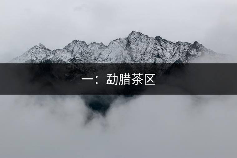 一：勐臘茶區