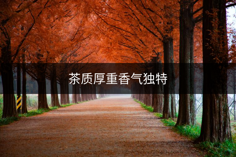 茶質厚重香氣獨特