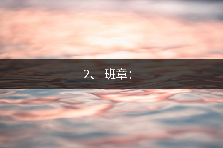 2、 班章:? 2、 班章:?