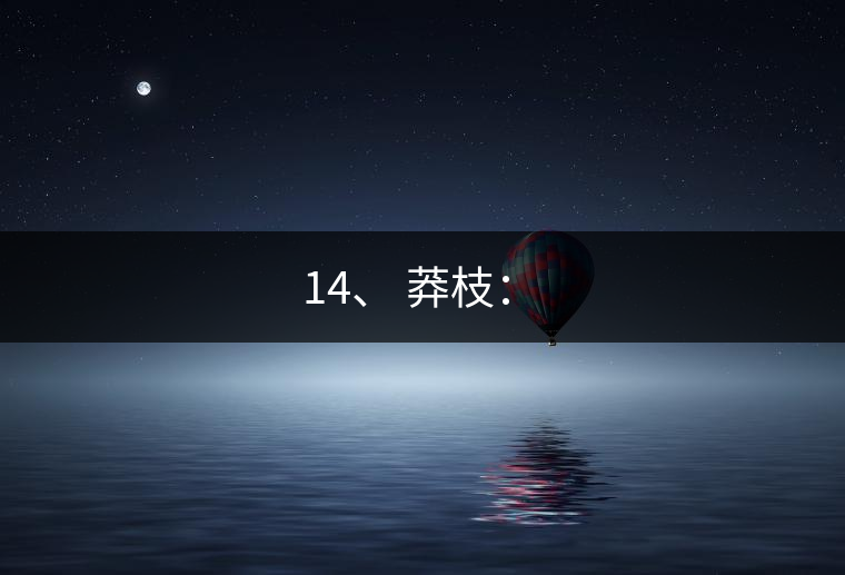 14、 莽枝:? 14、 莽枝:?