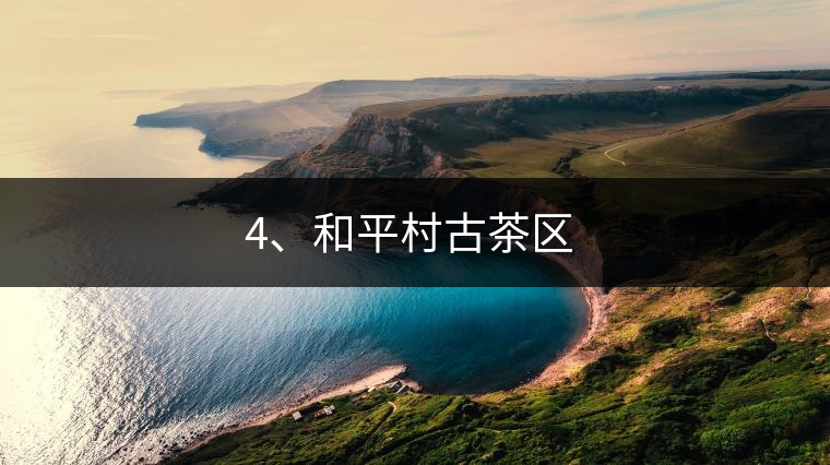 4、和平村古茶區(qū) ?