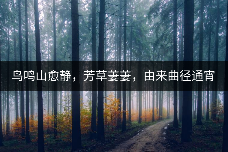 鳥鳴山愈靜,芳草萋萋,由來曲徑通宵漢。 鳥鳴山愈靜,芳草萋萋,由來曲徑通宵漢。