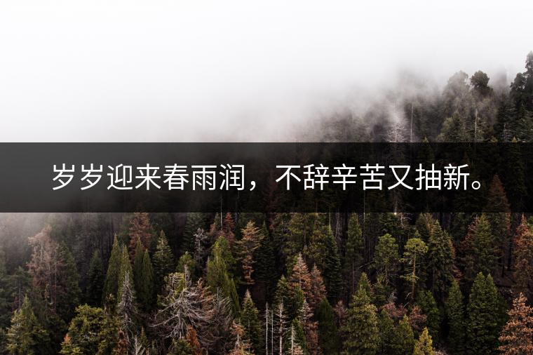 歲歲迎來春雨潤,不辭辛苦又抽新。 歲歲迎來春雨潤,不辭辛苦又抽新。