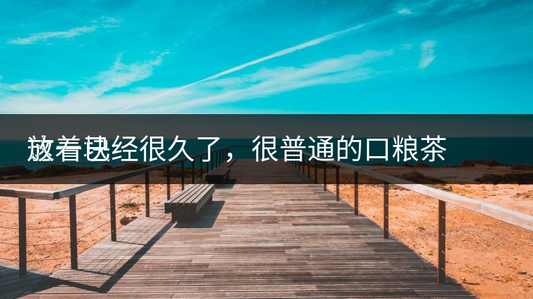 這一塊
放著已經很久了，很普通的口糧茶，煙味很重，但回甘也可以，隨意喝喝吧。