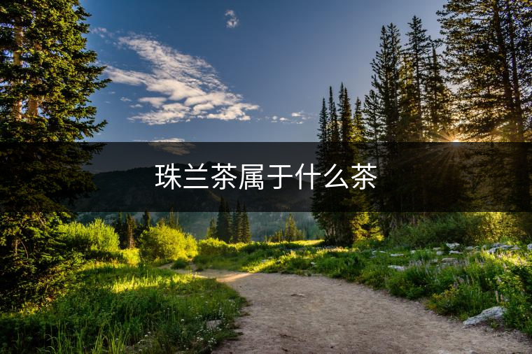 珠蘭茶屬于什么茶 珠蘭茶屬于什么茶