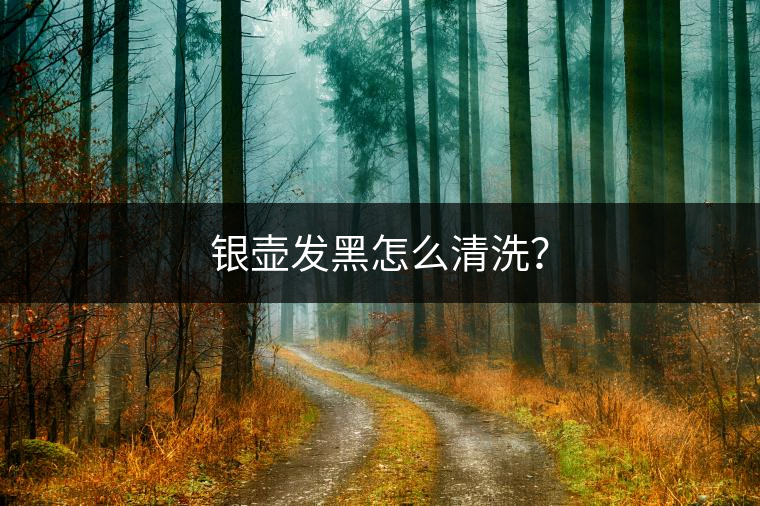 銀壺發黑怎么清洗？