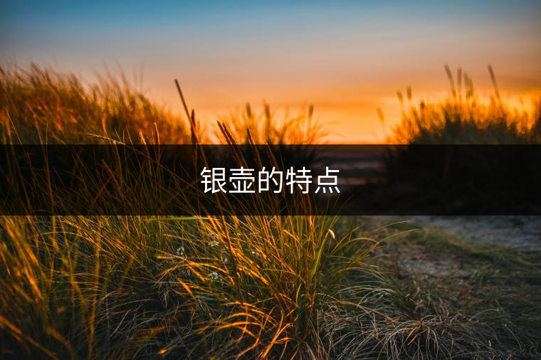 銀壺的特點(diǎn) 銀壺的特點(diǎn)