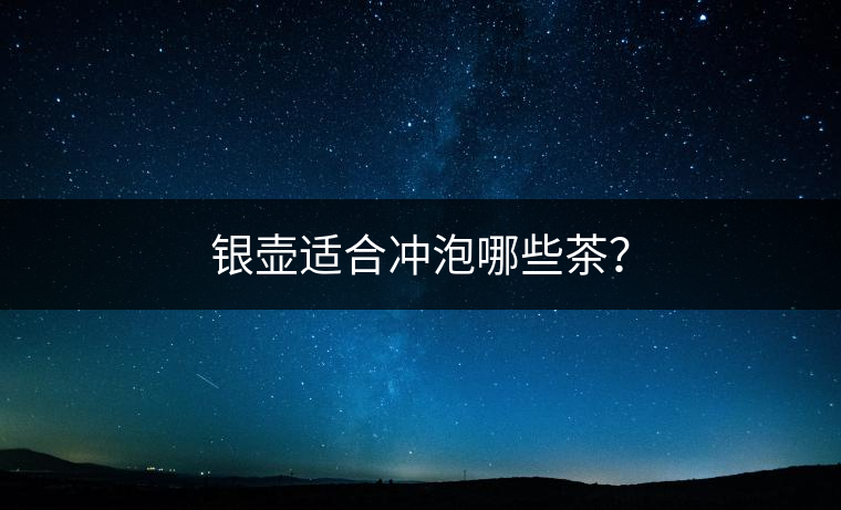 銀壺適合沖泡哪些茶? 銀壺適合沖泡哪些茶?