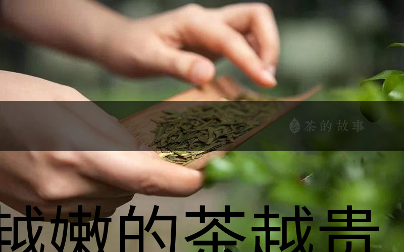 越嫩的茶越貴，但越貴的茶就越好嗎？