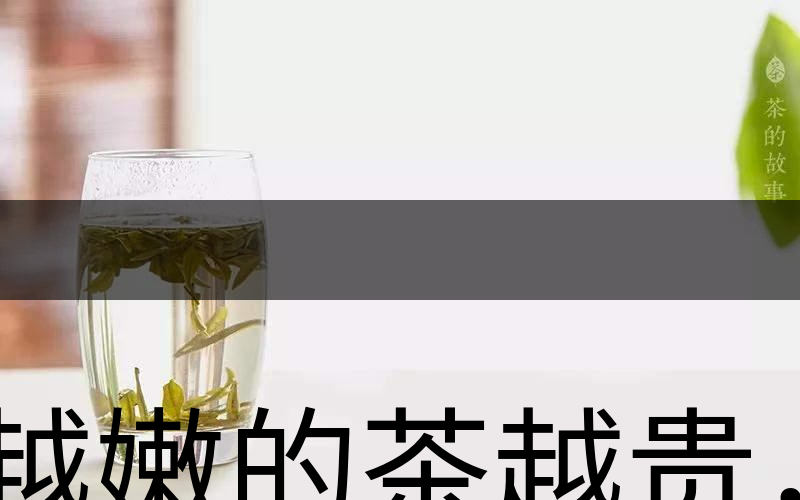 越嫩的茶越貴，但越貴的茶就越好嗎？-2