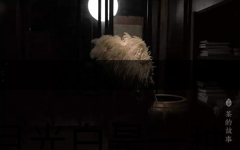 月光白是一種什么茶？