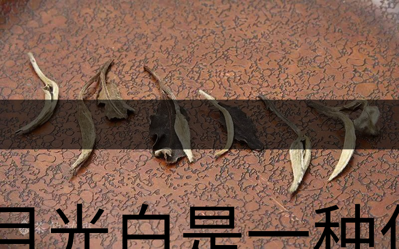 月光白是一種什么茶？-1