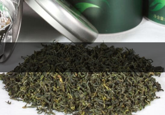 浙江雪青茶是什么茶-浙江雪青茶怎么泡好喝-1 浙江雪青茶是什么茶-浙江雪青茶怎么泡好喝-1