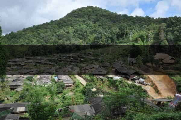 云南省瀾滄縣茶業概況簡述(第四章) 云南省瀾滄縣茶業概況簡述(第四章)