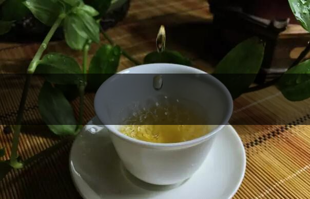 根據葉底鑒別茶葉的好壞-2 根據葉底鑒別茶葉的好壞-2