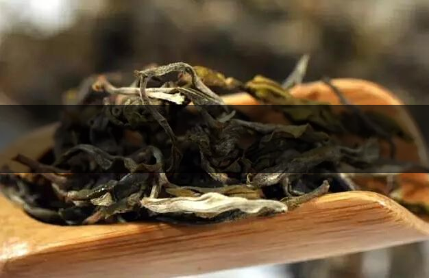 根據葉底鑒別茶葉的好壞-1-1 根據葉底鑒別茶葉的好壞-1-1