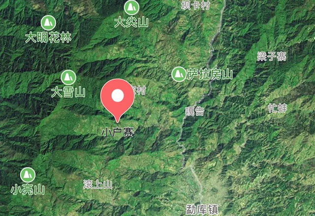 2021年小戶賽古樹秋茶有什么特點？