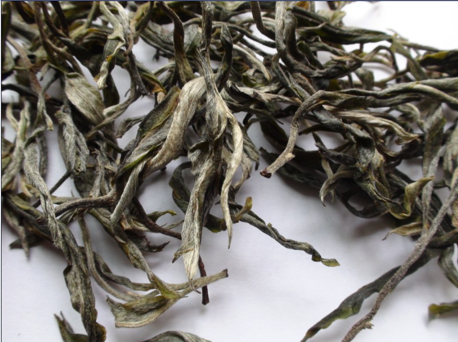 2021年馬鞍山古樹秋茶價格？