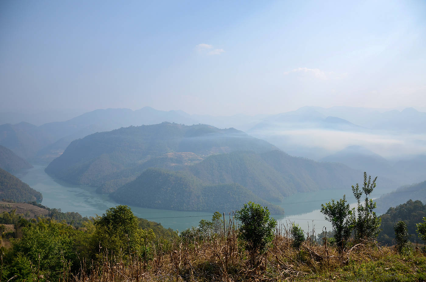 2021年白鶯山古樹秋茶，佛茶有什么魅力？