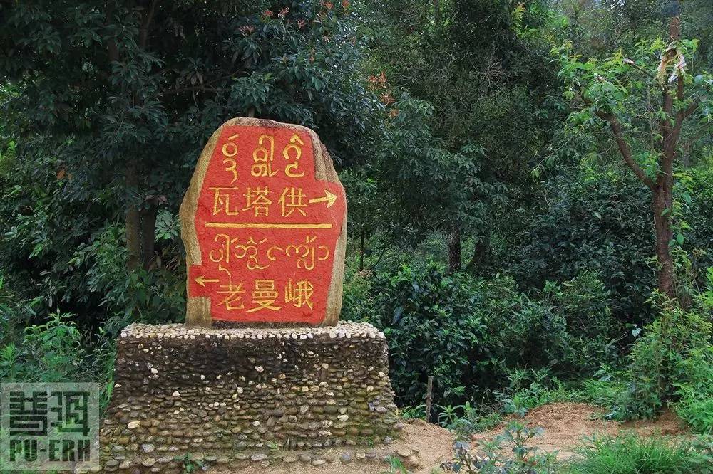 2021年老曼峨古樹秋茶價(jià)格多少?