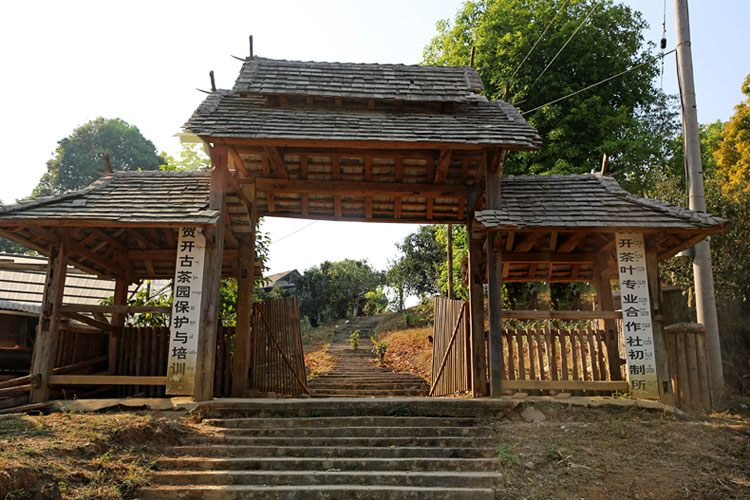 2021年賀開古樹秋茶特點(diǎn)？