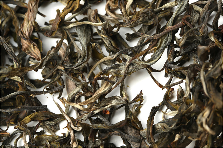 2021年巴達山章朗古樹秋茶特點？