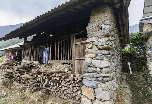 2022年景谷黃草壩古樹(shù)春茶特點(diǎn)是什么？