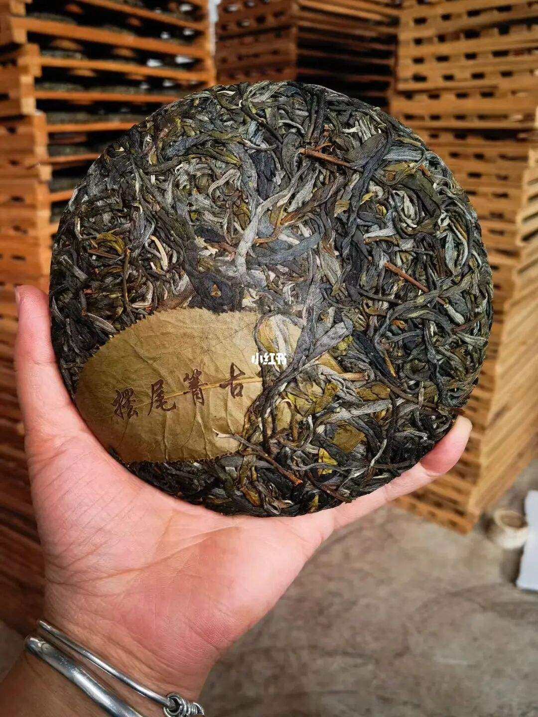 2022年寧洱 擺尾箐古樹春茶價格?