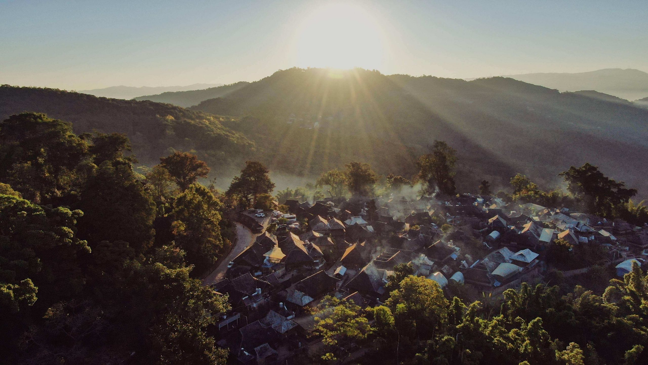 2022年景邁山古樹春茶特點？