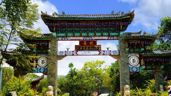 2022年易武正山在哪？易武正山是什么意思？