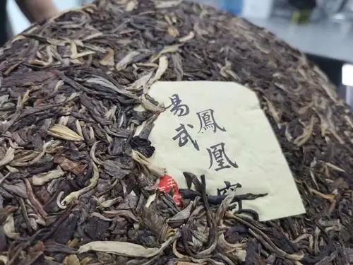 2022年鳳凰窩古樹高桿，鳳凰筑巢的地方