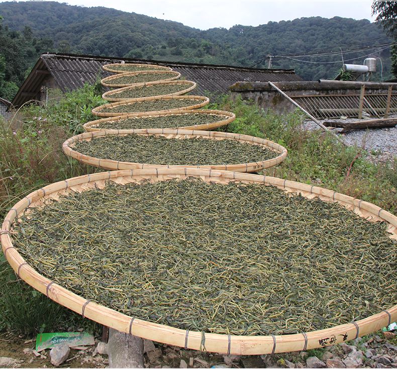 2022年白沙河古樹(shù)春茶價(jià)格？